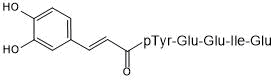 Phosphopeptide ligand for src SH2 domain