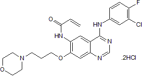 Potent EGFR kinase inhibitor