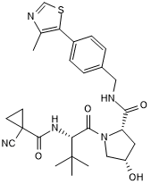 Negative control for VH 298