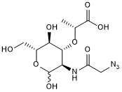 Bacterial peptidoglycan derivative; suitable for 'click'-conjugation to fluorescent dyes