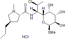 Antibiotic; inhibits protein synthesis