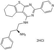 PKC&#953; and PKC&#950; inhibitor