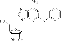 Non-selective adenosine A2 receptor agonist