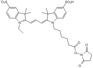 Orange fluorescent dye for labeling of amines; supplied as NHS ester