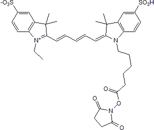 Red fluorescent dye for the labeling of amines; supplied as NHS ester