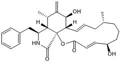 Inhibitor of actin polymerization