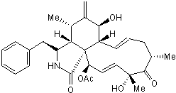 Disrupts actin filament function