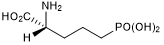 Potent and selective NMDA receptor antagonist; more active form of DL-AP5