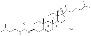 Cationic cholesterol derivative