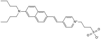 Voltage-sensitive probe; used to detect changes in membrane potential in electrophysiology protocols