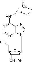 Highly selective A1 agonist