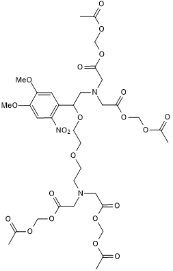 Calcium cage; cell permeable