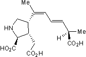 Potent and selective kainate agonist