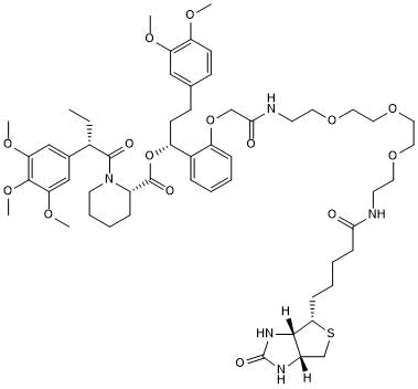 Affinity probe for mutant FKBP12F36V proteins
