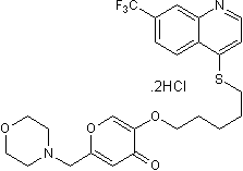 Potent Rac family inhibitor