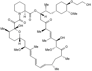 mTOR inhibitor; Immunosuppressant