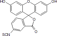 Green fluorescent dye