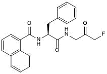 Potent ATG4B/autophagin-1 inhibitor; also inhibits calpain and cathepsin B