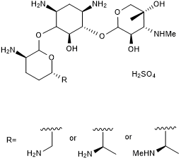 Aminoglycoside antibiotic