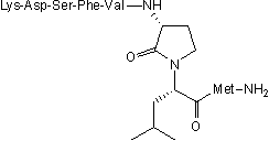 Potent, selective NK2 agonist