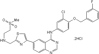 Potent dual EGFR/ErbB2 inhibitor; orally active