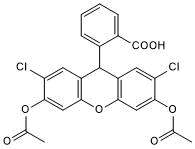 Fluorescent ROS indicator; cell permeable