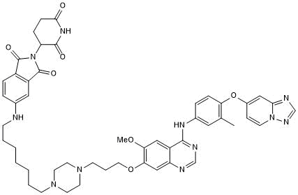 Potent and selective HER2 targeting PROTAC&reg;