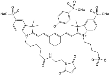 Near-infrared dye (Reactive group: maleimide)