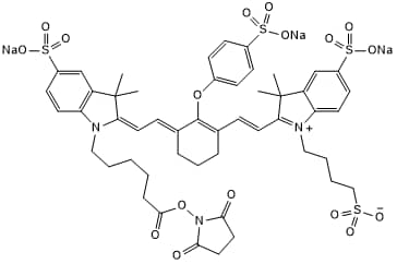 Near-infared dye (reactive group NHS ester)