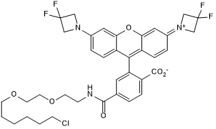 Cell-permeable fluorogenic fluorescent dye with a chloroalkane handle. Application: live-cell imaging as a self-labeling tag substrate