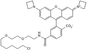 Cell-permeable fluorogenic fluorescent dye with a chloroalkane handle. Application: live-cell imaging as a self-labeling tag substrate