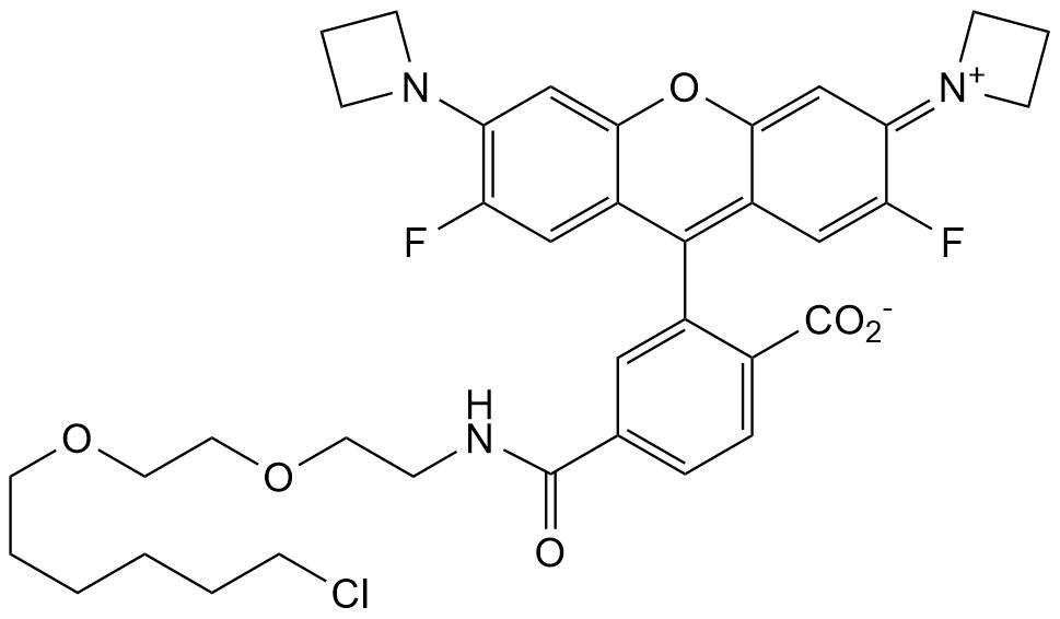 Cell-permeable fluorogenic dye with a chloroalkane handle. Application: live-cell imaging as a self-labeling tag substrate. Also chemigenetic Ca2+ indicator.