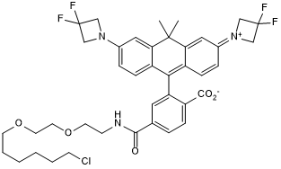 Cell-permeable fluorogenic fluorescent dye with a chloroalkane handle. Application: live-cell imaging as a self-labeling tag substrate