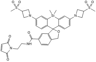 Blinking fluorescent dye (Reactive group: maleimide). Application: super resolution microscopy (SRM) including SMLM