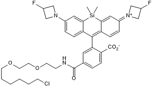 Cell-permeable fluorogenic fluorescent dye with a chloroalkane handle. Application: live-cell imaging as a self-labeling tag substrate