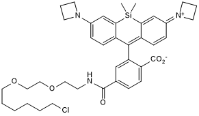 Cell-permeable fluorogenic fluorescent dye with a chloroalkane handle. Application: live-cell imaging as a self-labeling tag substrate