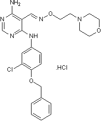 Potent ErbB receptor family inhibitor