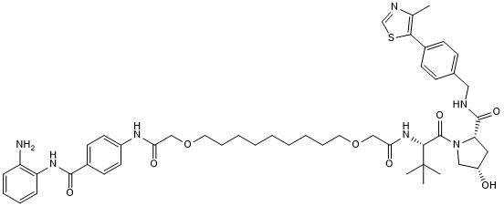 Negative control for JPS036 (Cat. No. 8085).