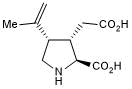 Kainate agonist; excitant and neurotoxin