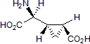 Potent group II mGlu agonist