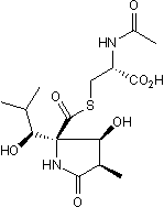 Cell-permeable, potent and selective proteasome inhibitor