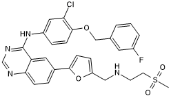 Potent and selective dual ErbB2 (HER-2) and EGFR inhibitor