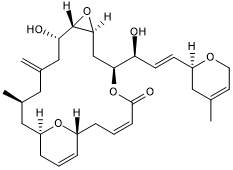 Microtubule stabilzing agent