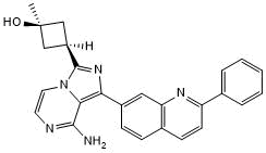 Potent and selective dual inhibitor of the IGF-1 receptor and insulin receptor