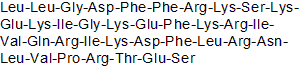 Antimicrobial peptide derivative of human cathelicidin