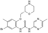 Potent and selective Chk1 inhibitor