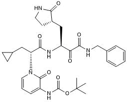 Negative control for Mpro 13b-K (Cat. No. 7228)