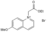 Fluorescent Cl- indicator; membrane permeable