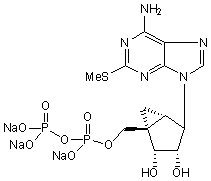 Highly potent and selective P2Y1 agonist