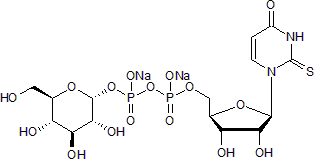 Potent P2Y14 agonist